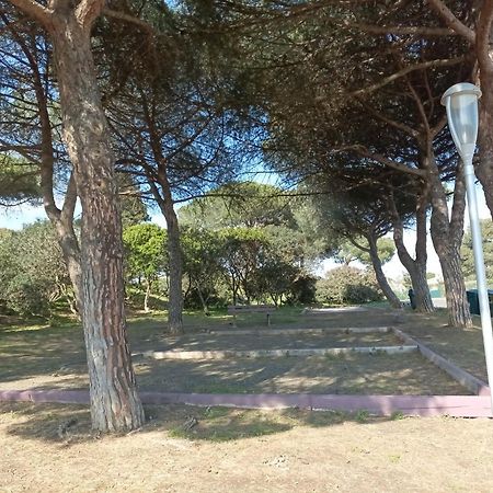 Lara 3 - T2 Loggia Piscine 2 Lits Doubles Parking Pres Du Centre-Port Et Ile Loisirs Apartment Агде Екстериор снимка